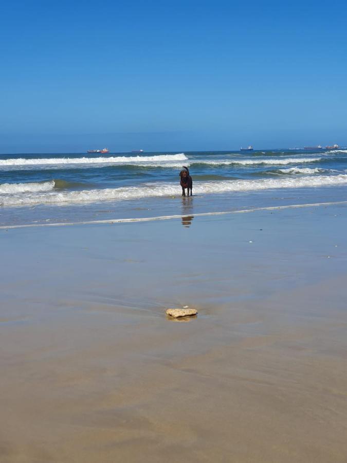 House Haven Guesthouse Port Elizabeth Exteriér fotografie